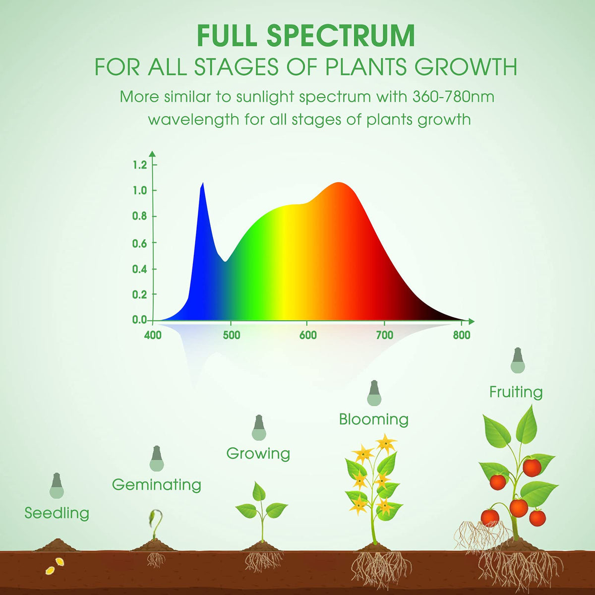Briignite three-pack packaging highlights value for multiple grows.