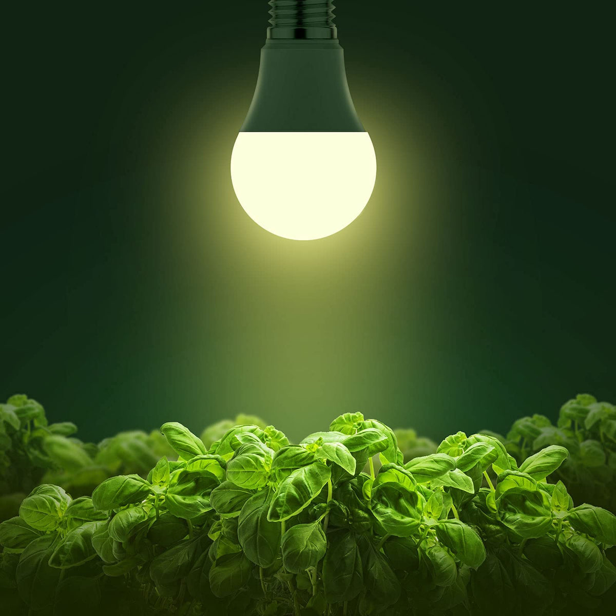 Briignite A19 LED plant bulb with full-spectrum output for seed starting.