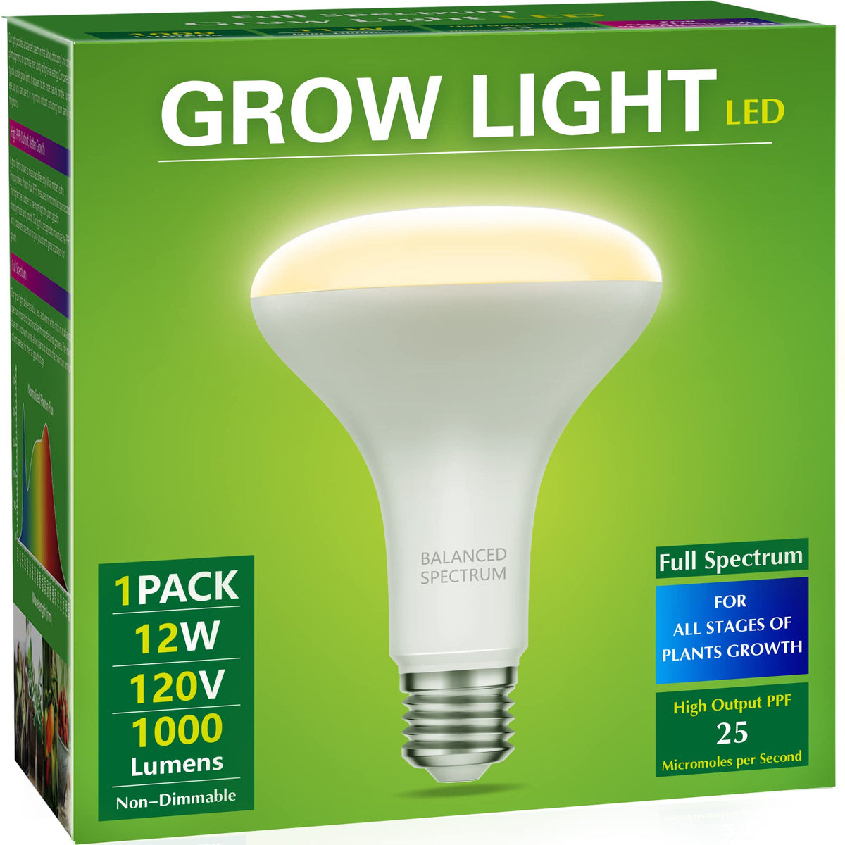 Briignite BR30 full-spectrum bulb illuminates indoor plants with natural color.