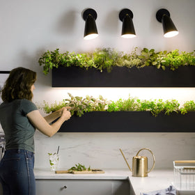 Briignite energy-saving indoor plant light reduces electricity use.