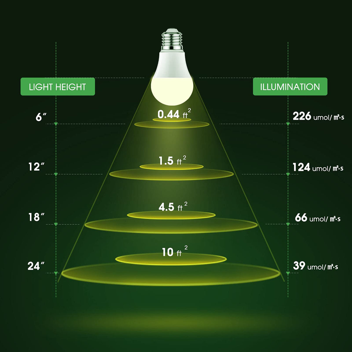 Briignite natural white light brightens home spaces without harsh tones.