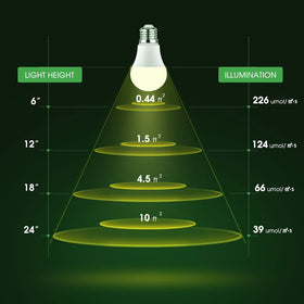 Briignite natural white light brightens home spaces without harsh tones.