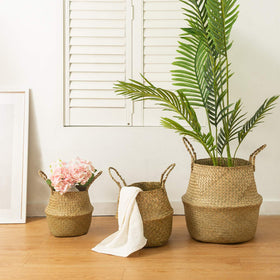 BrilliantJo Seagrass Belly Basket plant pot use in living space
