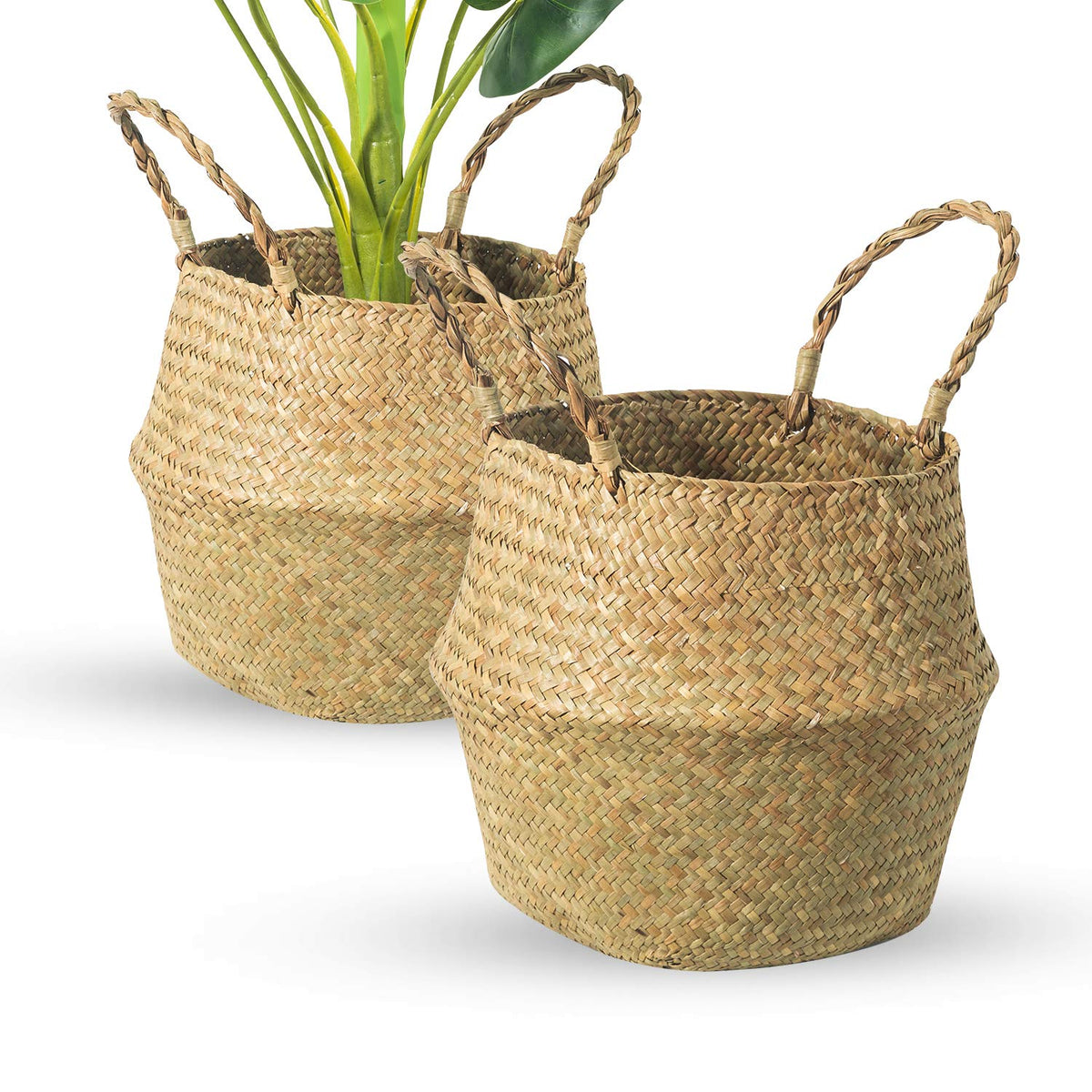 BrilliantJo Seagrass Belly Basket top view for plant pots and decor