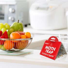 Briteen clothes moth traps in closet safeguard fabrics.