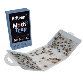 Pantry setup with Briteen traps arranged for effective moth control.