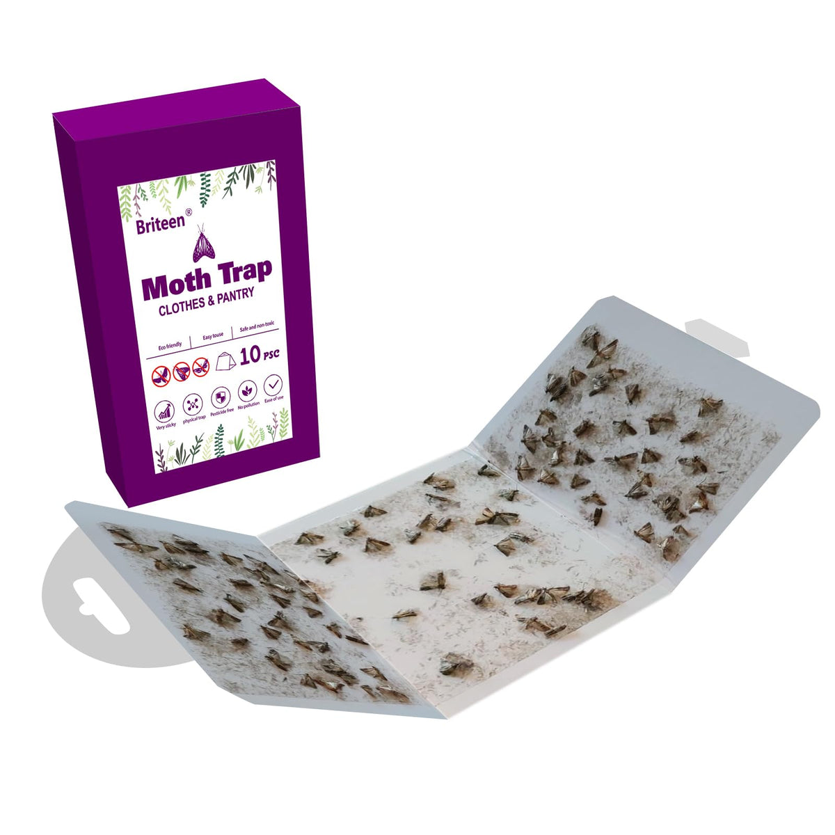 Briteen pheromone trap close-up — effective attractant for moth control