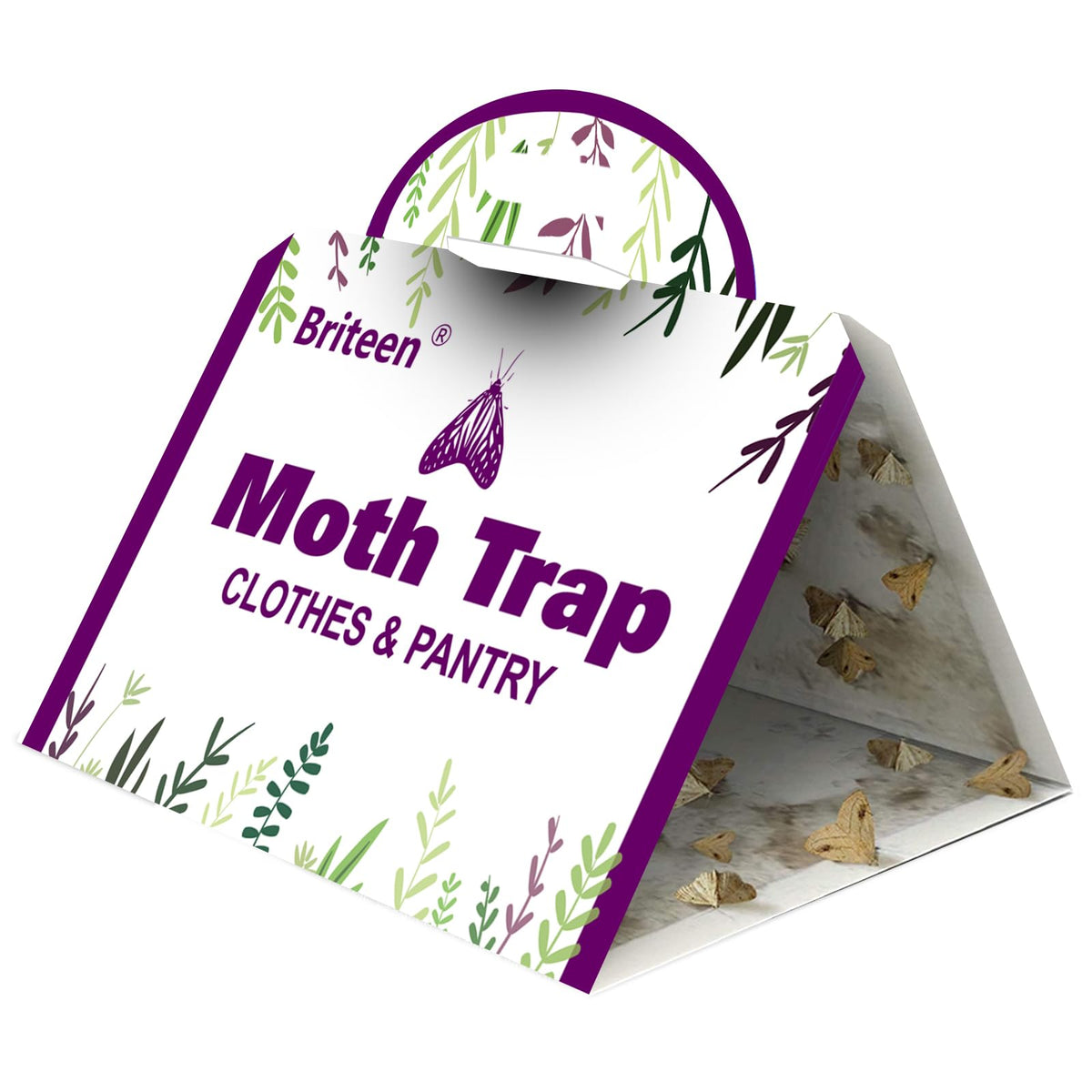 Briteen Pantry Moth Traps 10-Pack front of box for kitchen moth control