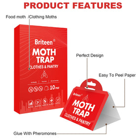 Briteen Pantry Moth Traps open-trap ready for immediate use.