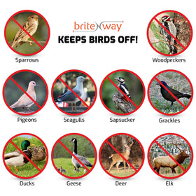 BRITENWAY dual-sided reflective tape deters birds around roofs and decks
