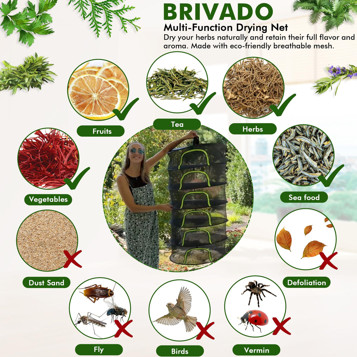 BRIVADO large-capacity layers suit batch drying of herbs and buds.