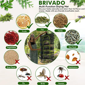 BRIVADO large-capacity layers suit batch drying of herbs and buds.