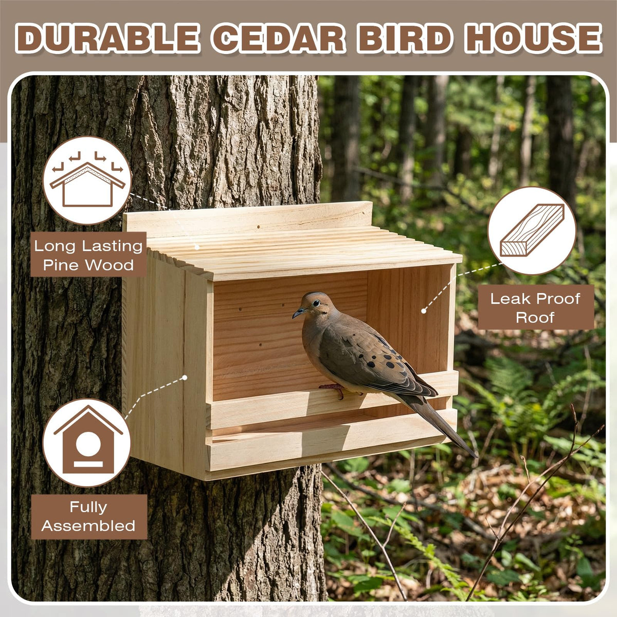 Briwooody dove nesting box interior close-up illustrating a roomy nesting area.
