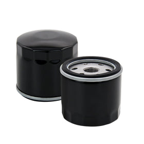 Two-pack Brlyeeanze Kohler oil filters ready for maintenance