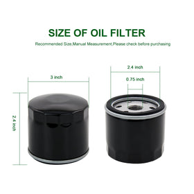 Brlyeeanze filter in retail packaging with clear labels