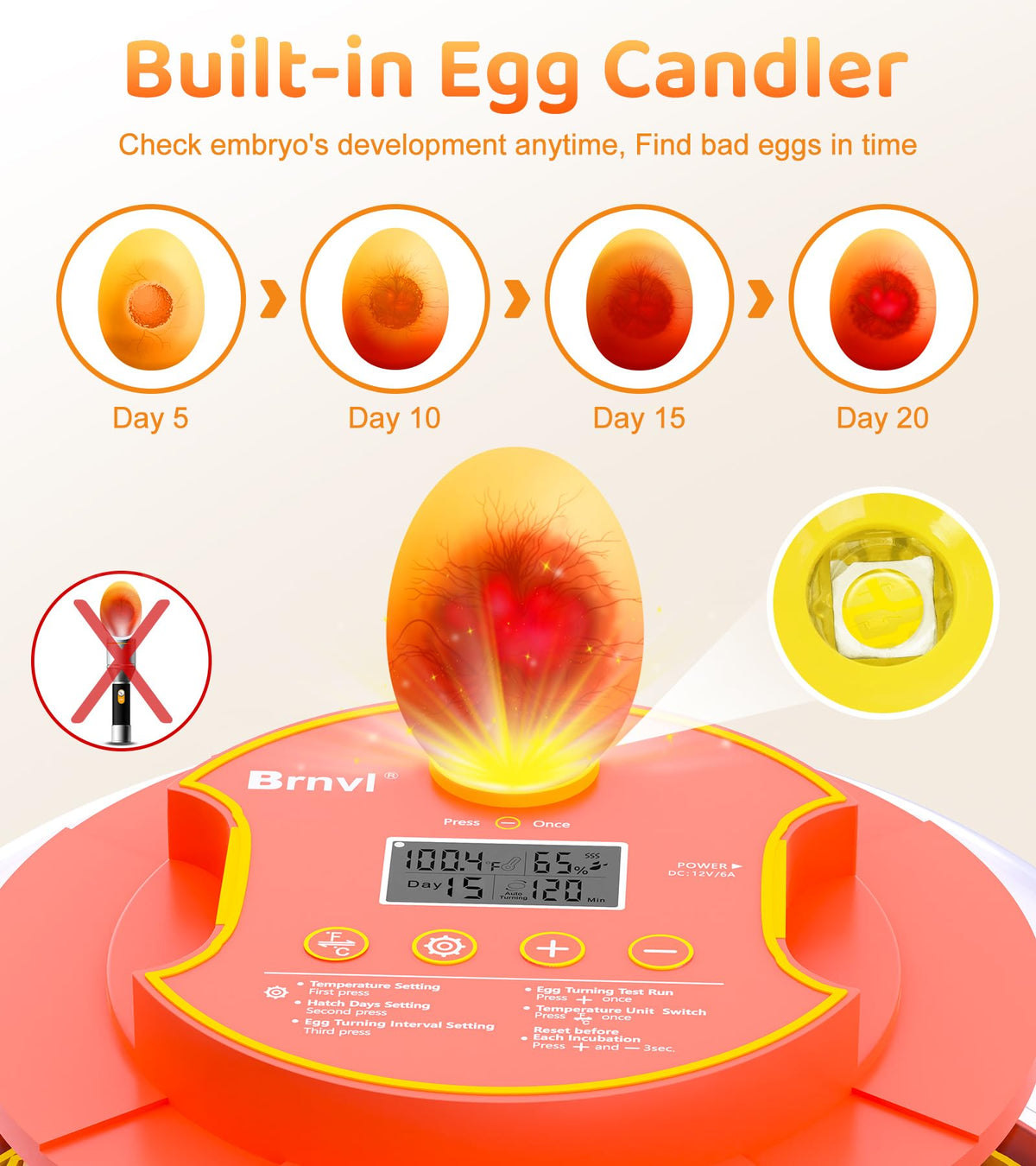 Brnvl automatic turner enables regular egg turning every 2 hours.