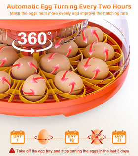 Brnvl 18 egg incubator digital display tracks days and turning.