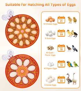 Brnvl removable trays simplify cleaning and egg handling.