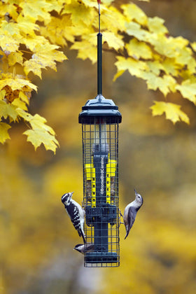 Brome Squirrel Buster crumb port reducing waste and guiding crumbs