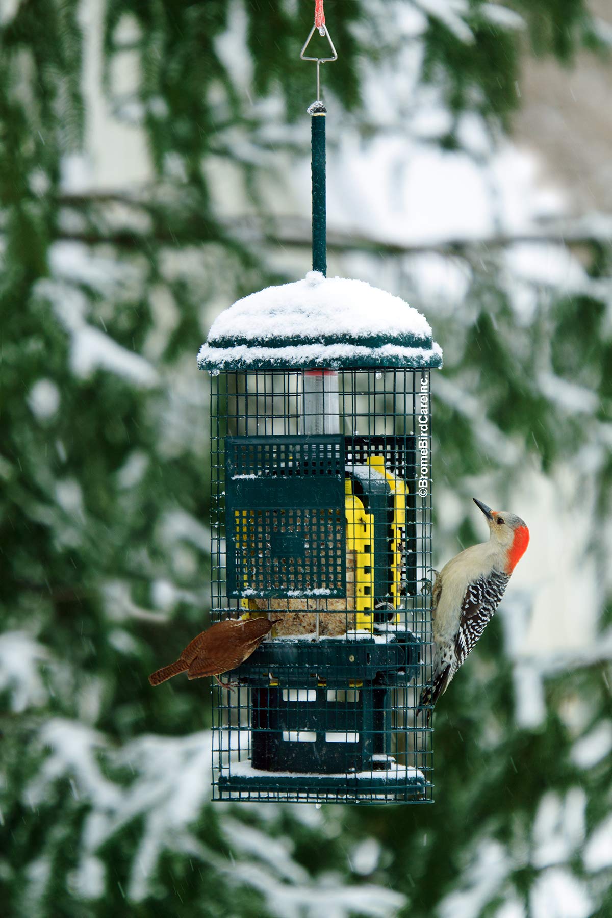 Grease-free loading with the Brome Squirrel Buster