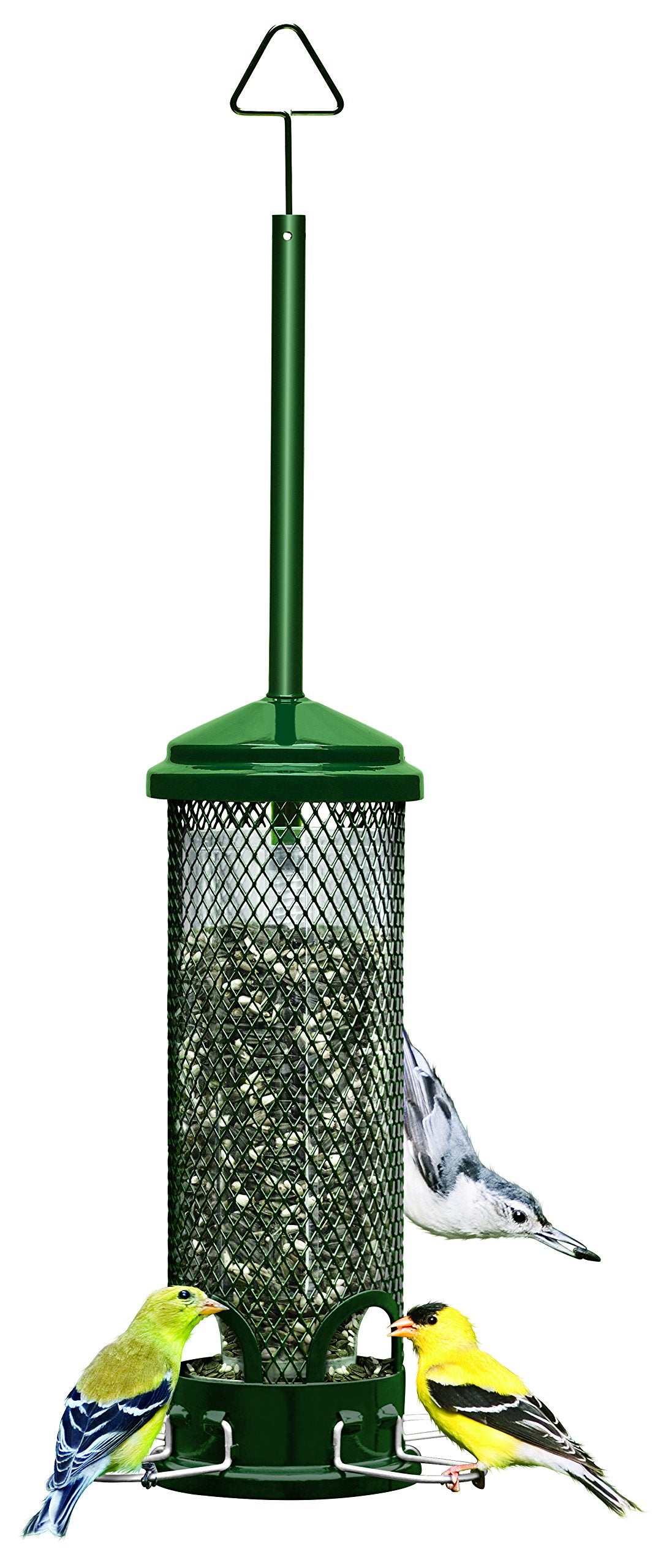 Brome Squirrel Buster Mini feeder with closed shroud deterring squirrels