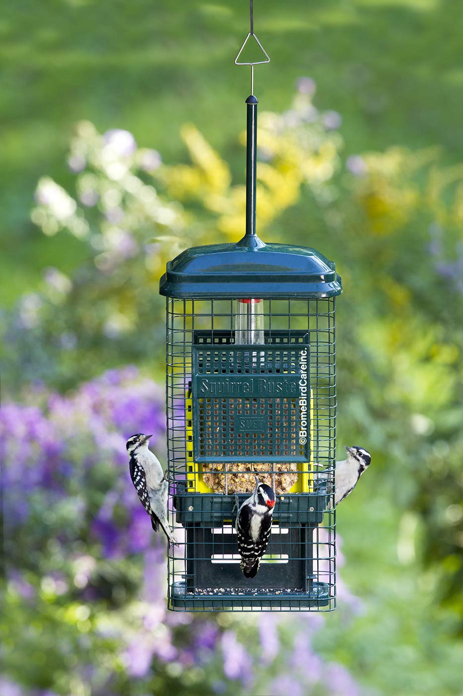 Brome Squirrel Buster with squirrel-proof shroud protecting food