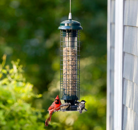 Brome Squirrel Solution 150, chew-proof body highlights durable materials.