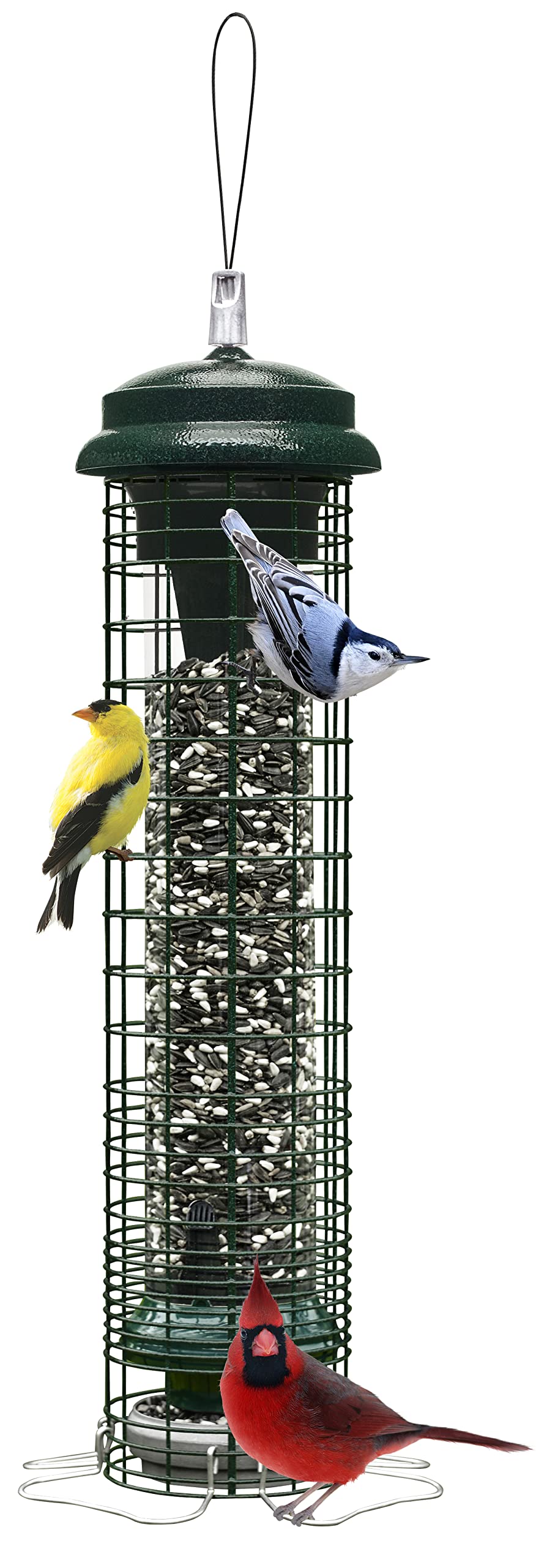 Brome Squirrel Solution 150 feeder, front-angled view showing protected seed access.