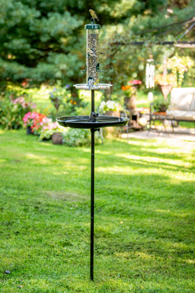 Brome Tube 200 six-port design enables multiple birds to feed simultaneously.