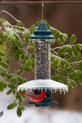 Weather Guard shows dry seed protection during rain for Squirrel Buster Plus.