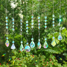 Bronlama suncatcher rainbow reflections brighten sunlit windows.