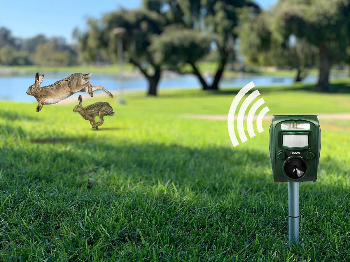 Broox solar animal repellent coverage range image highlights broad sensor reach for larger areas.