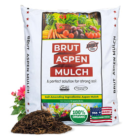 Brut Worm Farms Brut Organic Aspen Mulch 10QT bag front, odor-free coverage for neat garden beds.
