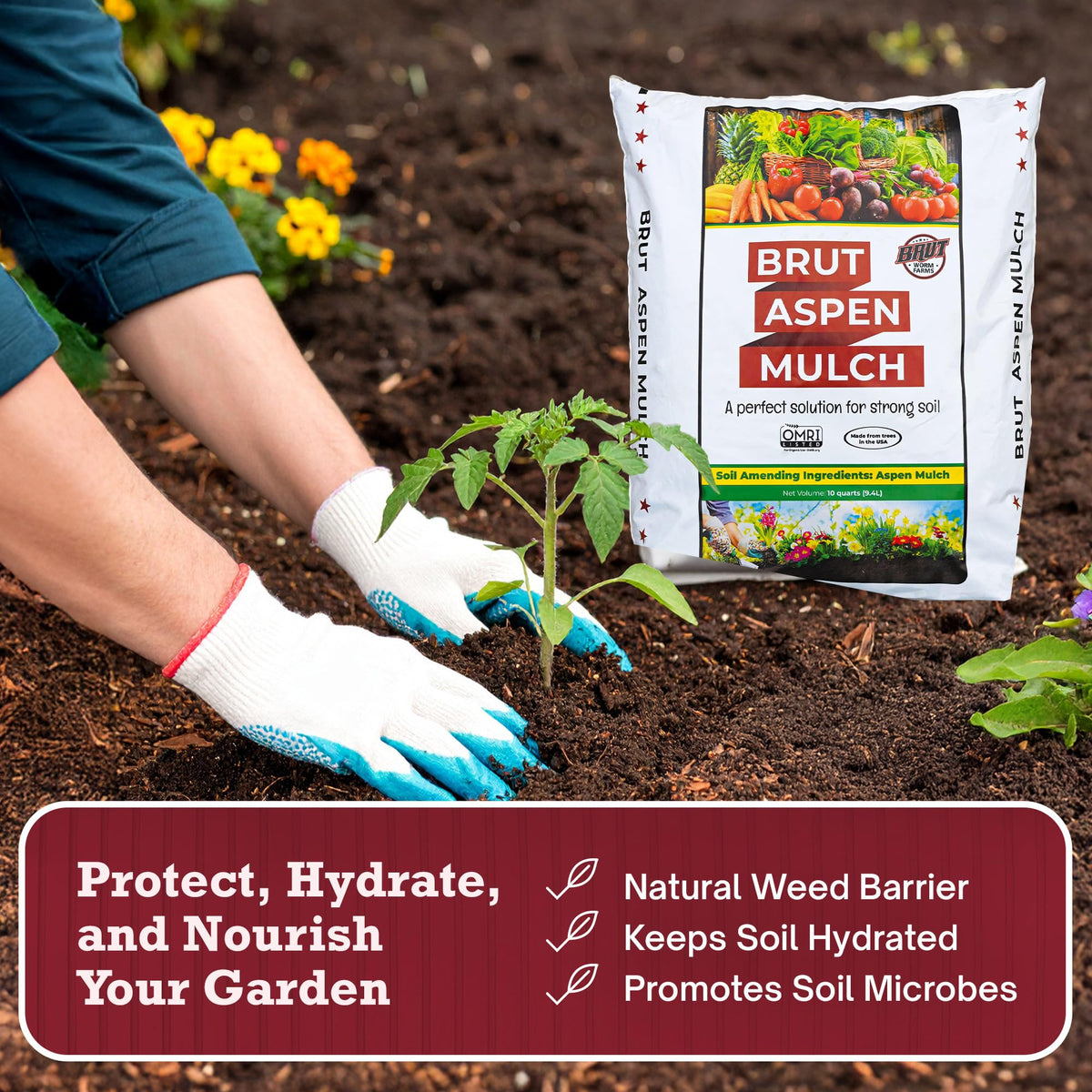 Brut Worm Farms 10QT bag spilled onto soil demonstrates moisture-retaining mulch benefits.