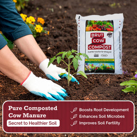 BRUT WORM FARMS nutrient-rich compost close-up emphasizes rich texture for plants.
