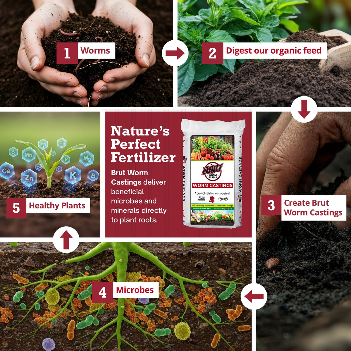 BRUT WORM FARMS OMRI and CDFA organic certification listing