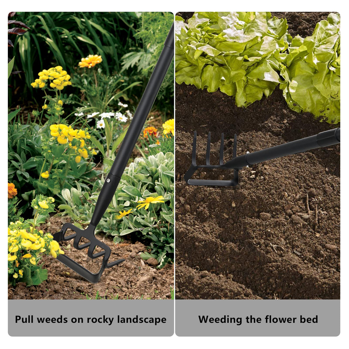 BsBsBest tool showing push-pull design for safe weeding around plants