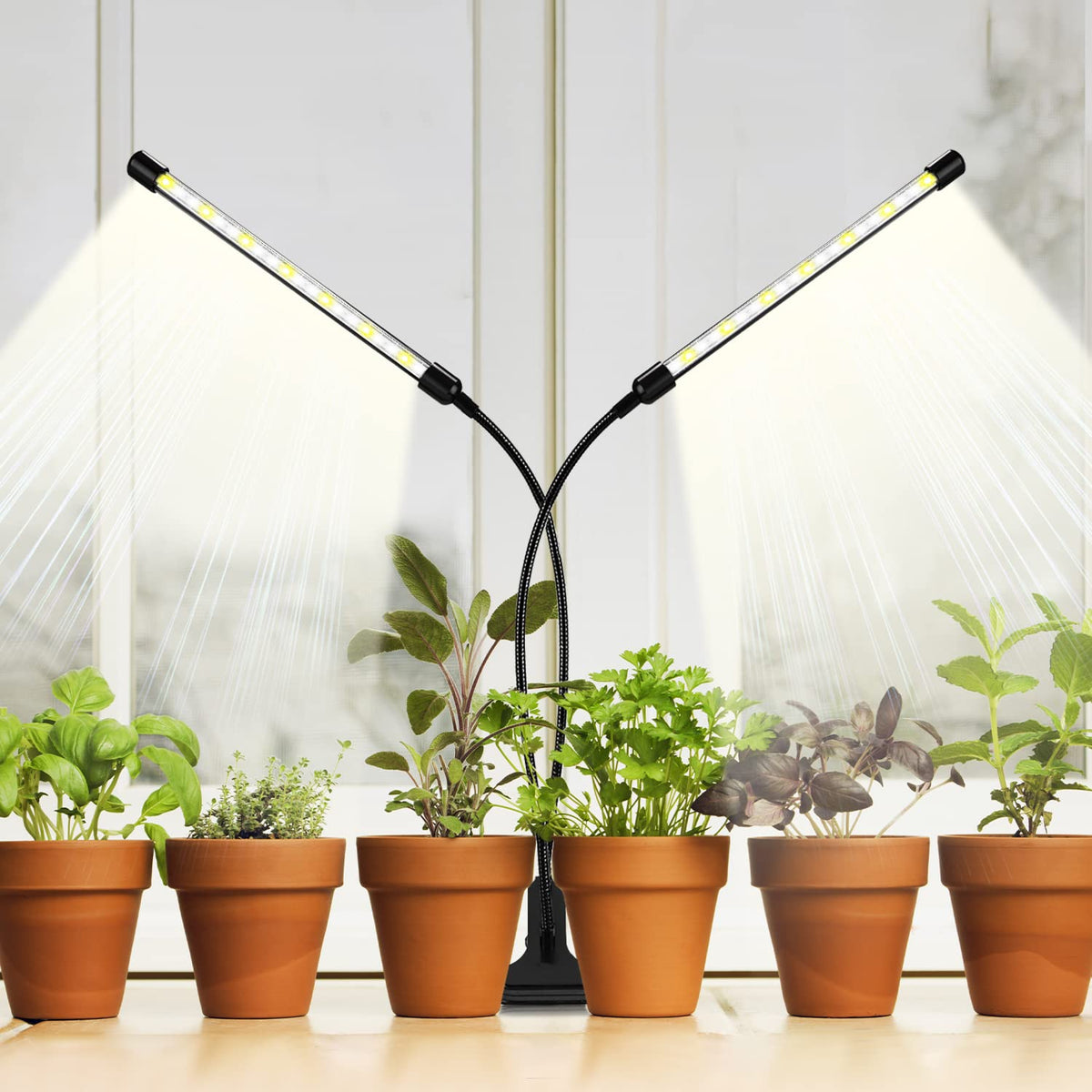 BSEAH auto timer grow light keeps consistent daily cycles