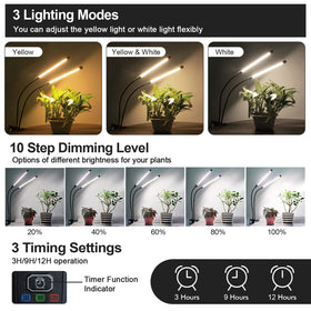BSEAH full-spectrum LED plant light enhances foliage health
