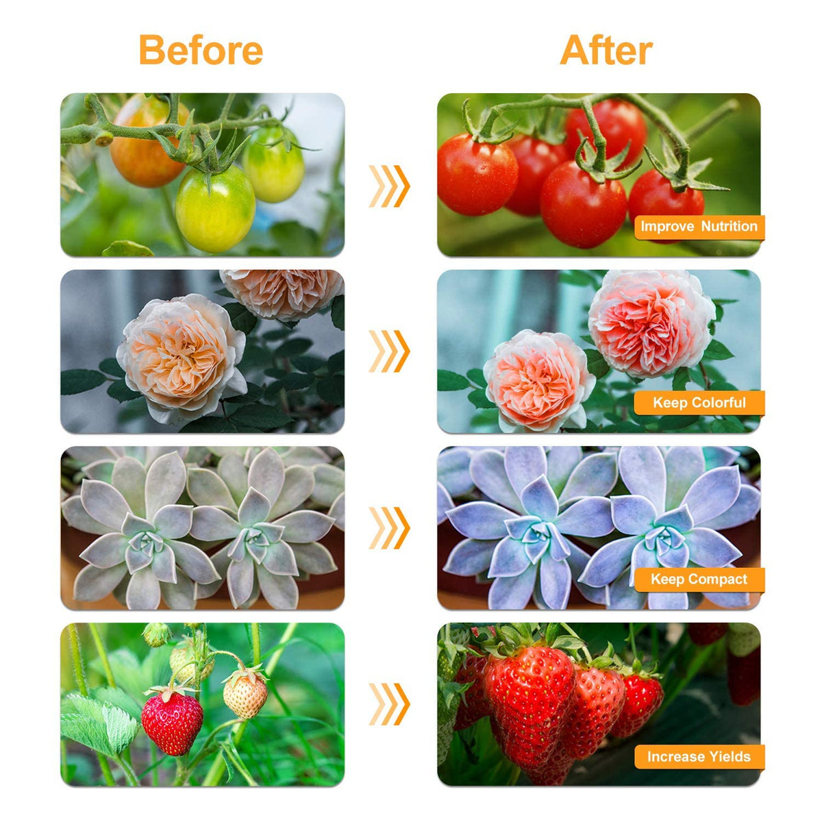 Bseah grow light USB power option supports versatile placement.
