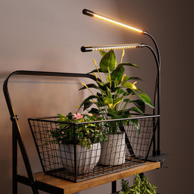 bseah indoor garden application suitable for small spaces