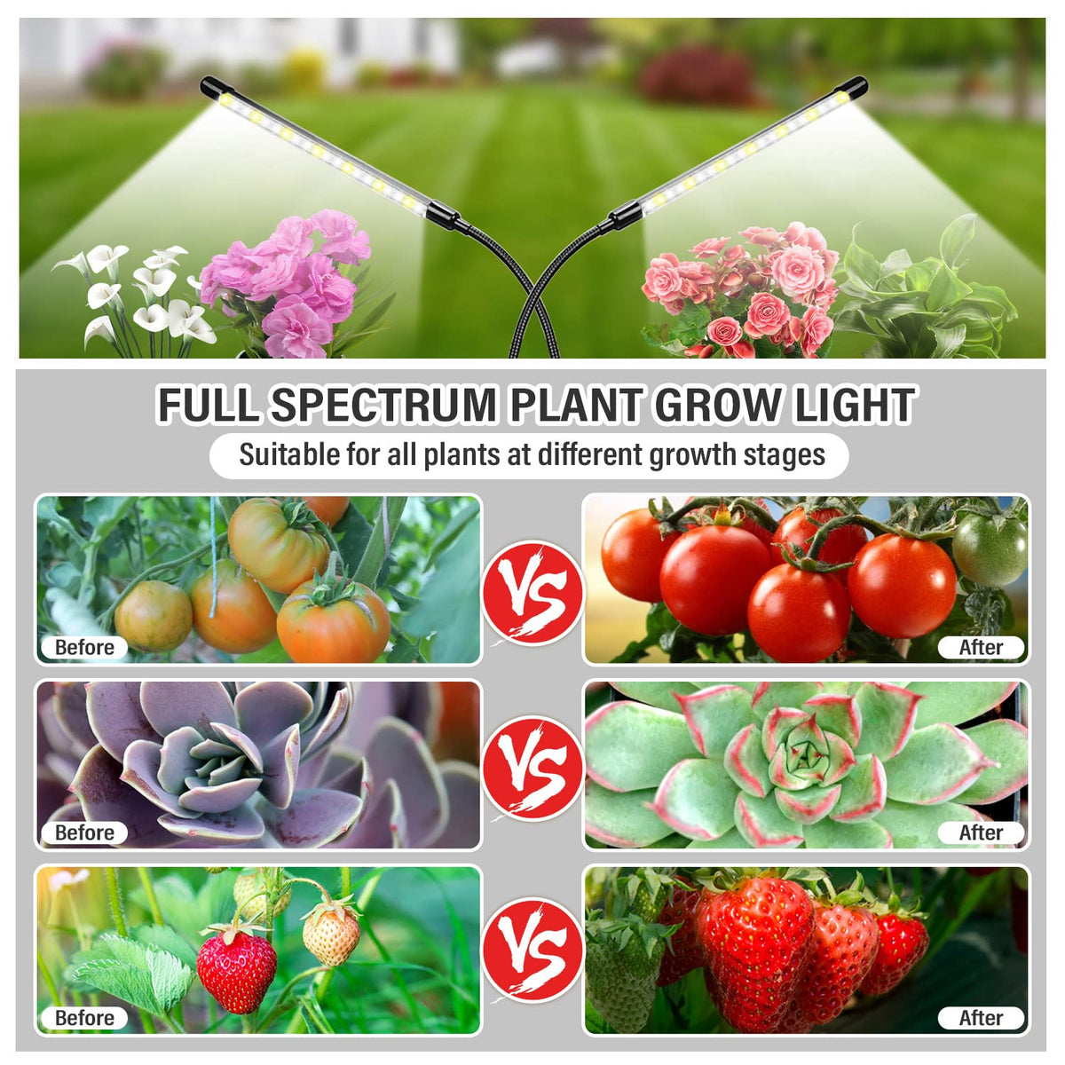 BSEAH ten-level dimmable grow light adapts to plant needs