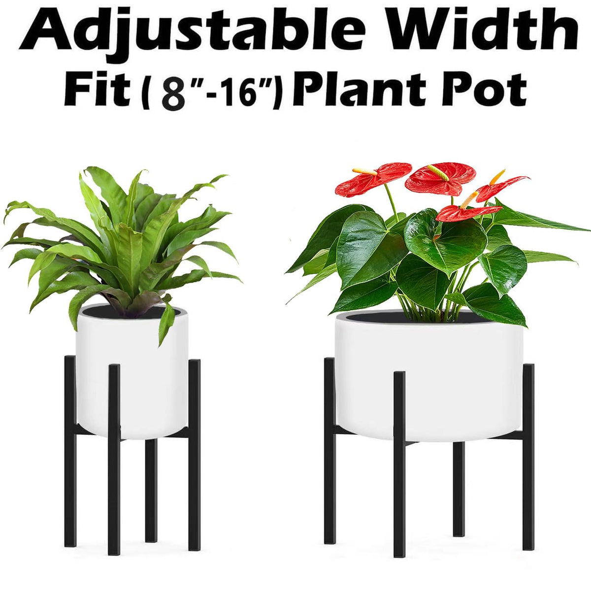 BSTMAI stand demonstrating two height options for indoor or outdoor display