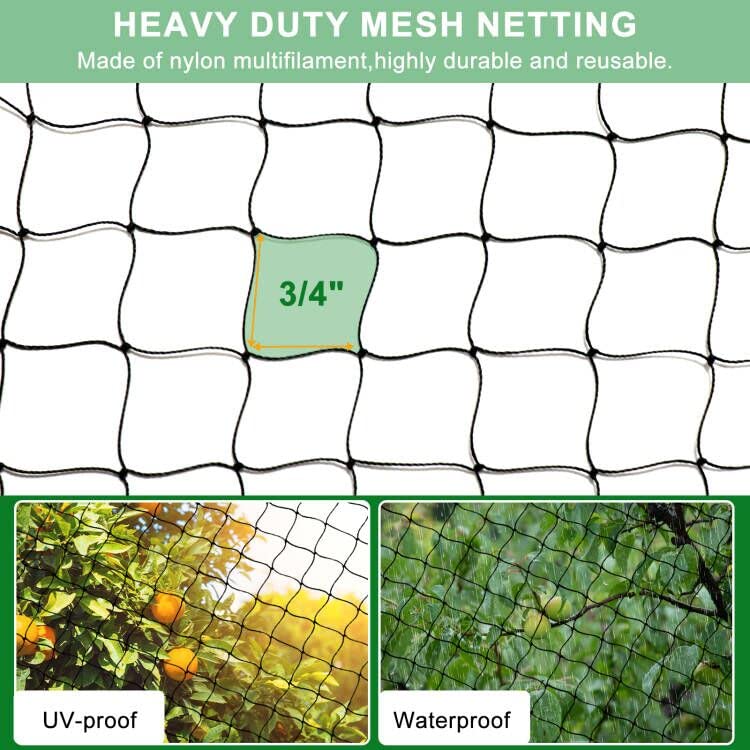 BSTPCOO bird netting installed on a chicken run with stakes.