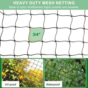 BSTPCOO bird netting installed on a chicken run with stakes.