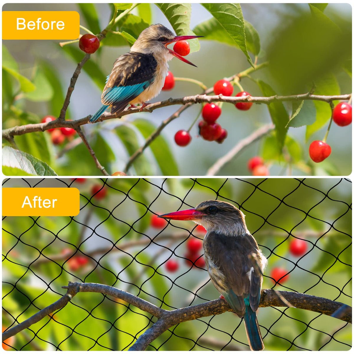 BSTPCOO blueberry netting protects berries while preserving airflow.