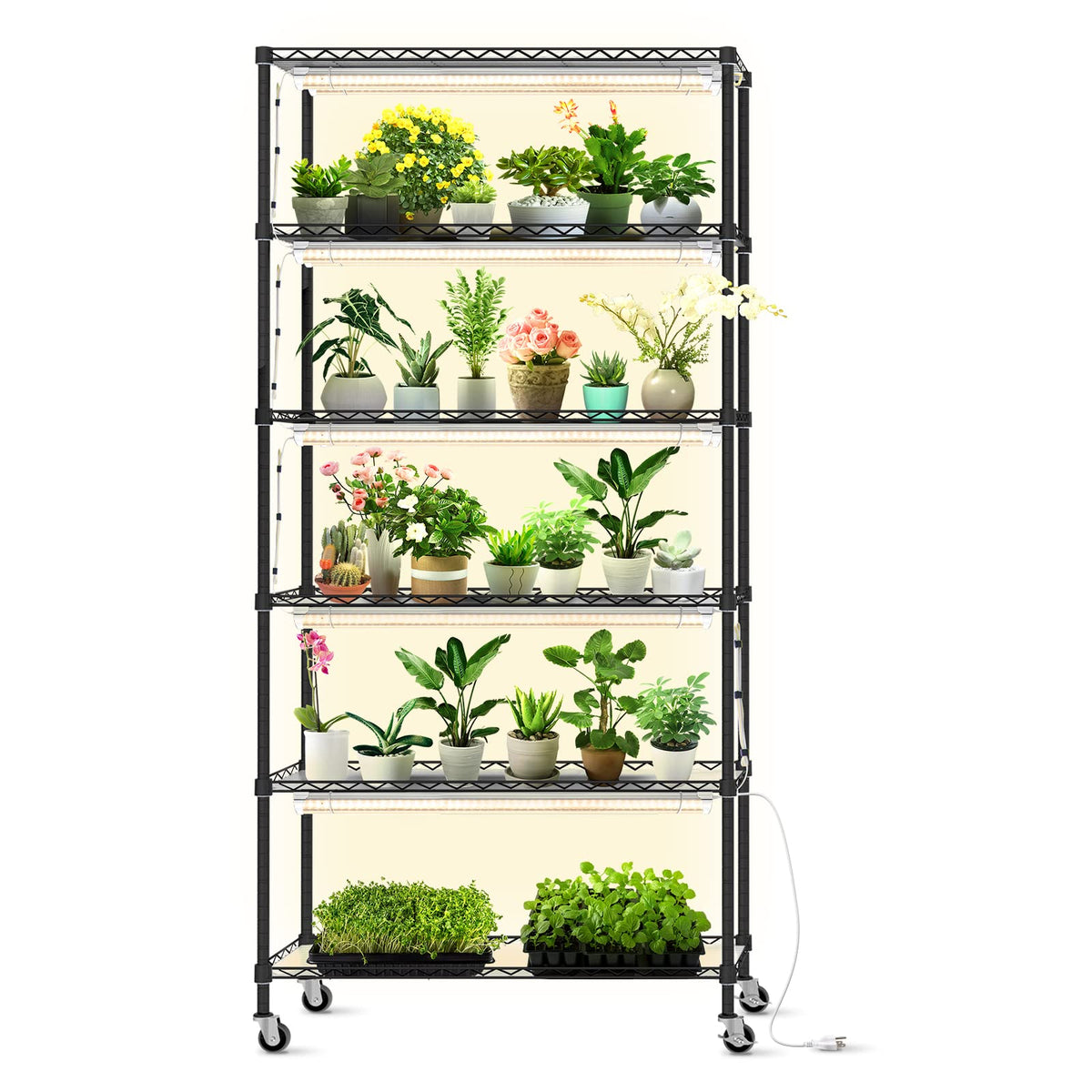 Bstrip DIY plant shelf with grow light showing a multi-tier seed starting setup