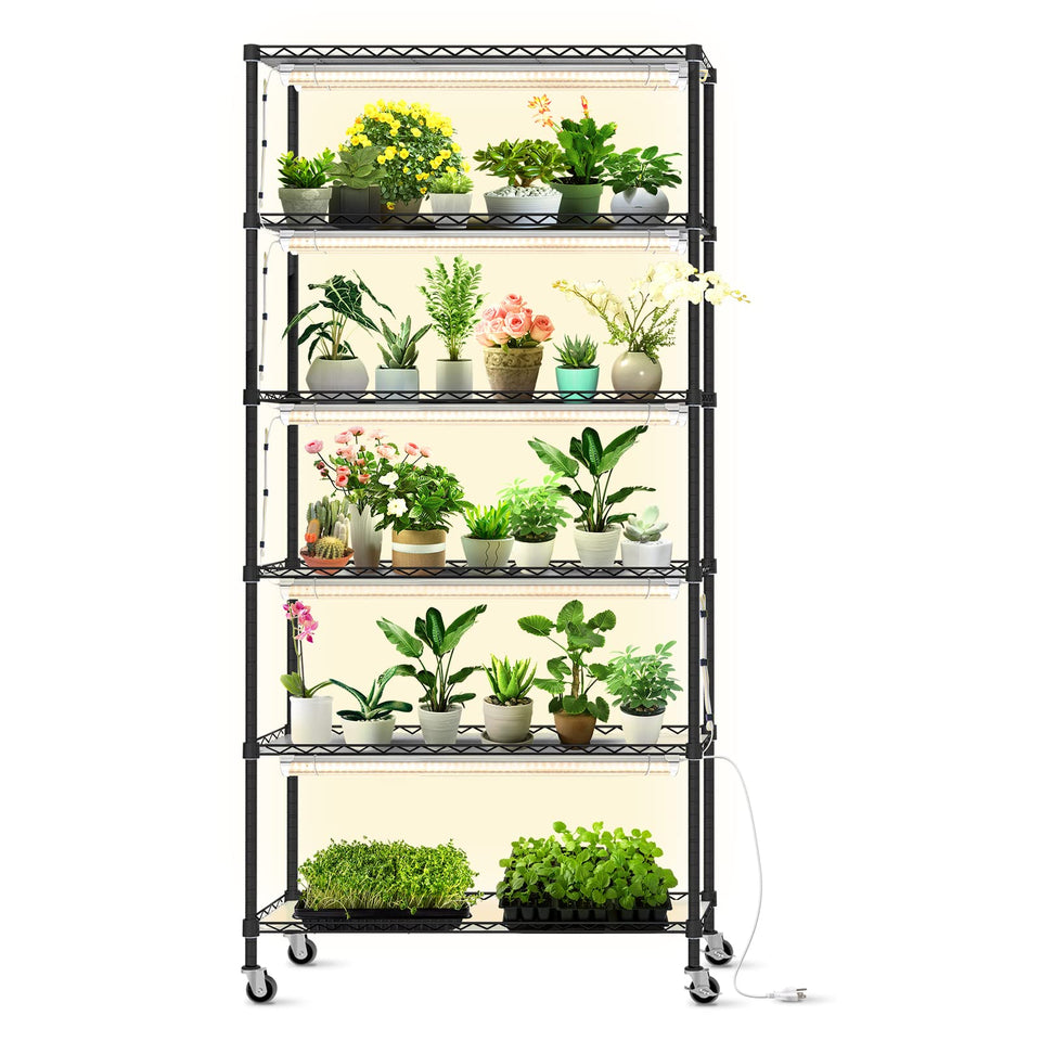 Bstrip DIY plant shelf with grow light showing a multi-tier seed starting setup