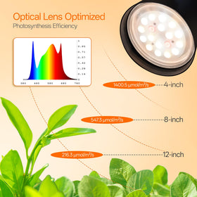 Optical lens focuses light precisely to support healthy leaf and stem development.
