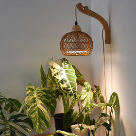 Bstrip hanging grow light with boho rattan shade for year-round indoor greenery.